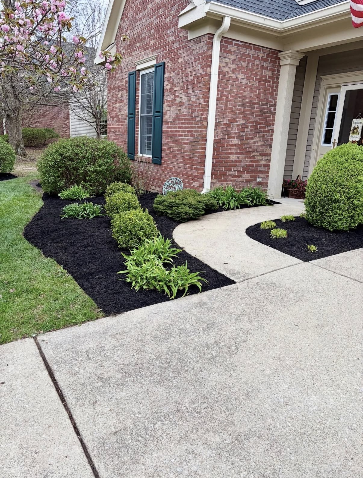 Curved black mulch beds with shrubs along a front walkway