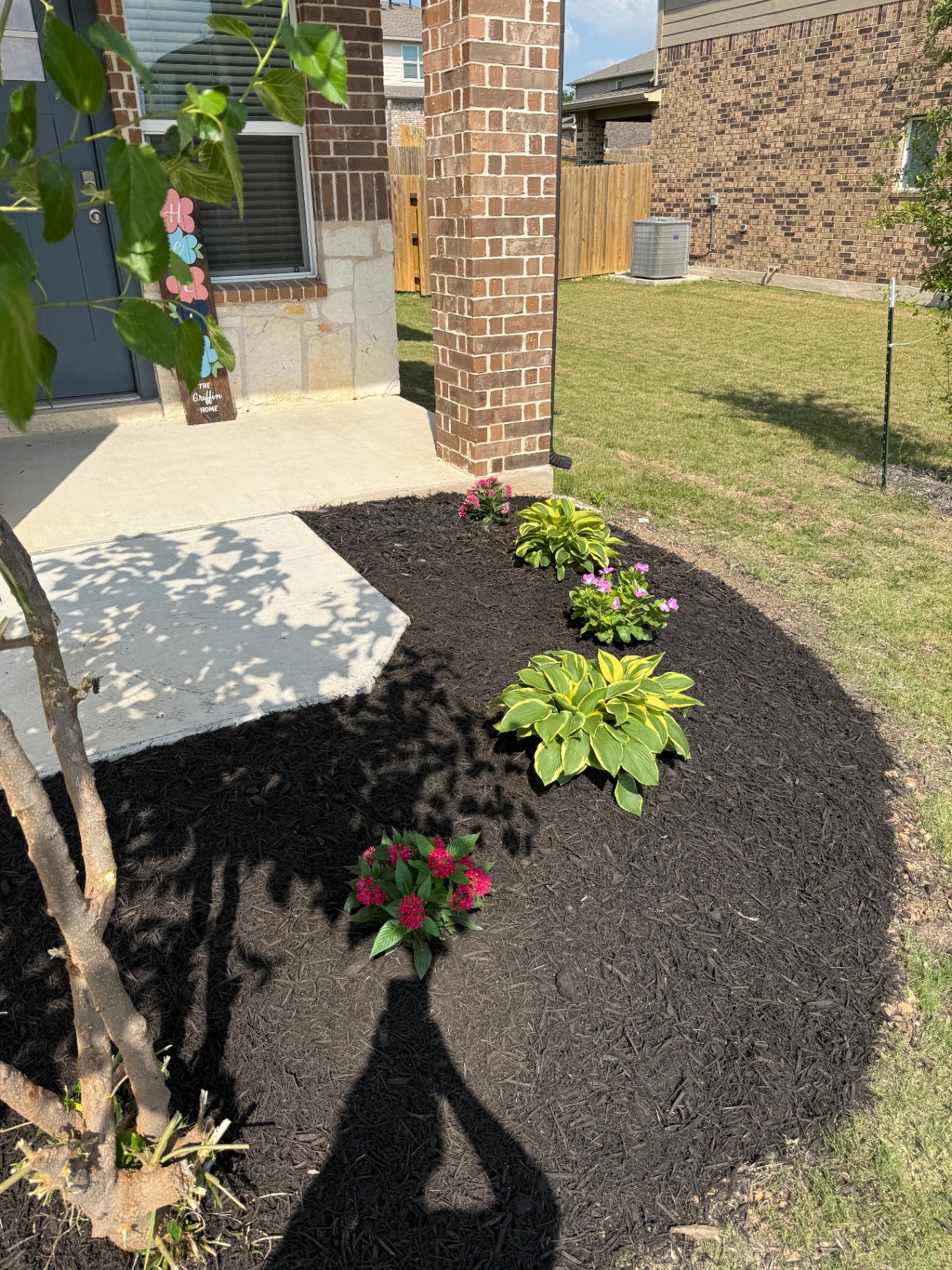 Fresh mulch bed with hostas and pentas around a Round Rock front porch