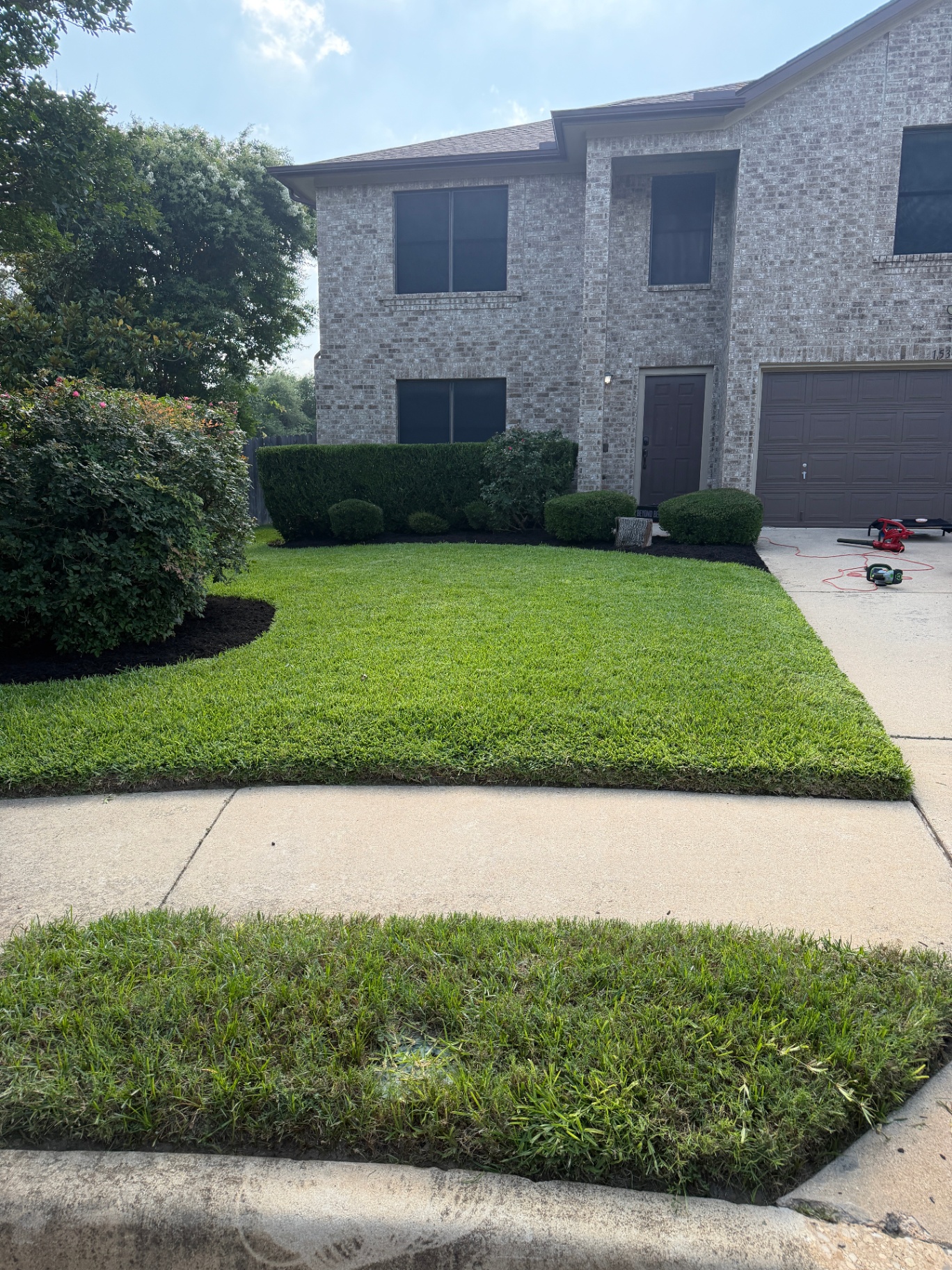 Manicured lawn with crisp edging and trimmed hedges